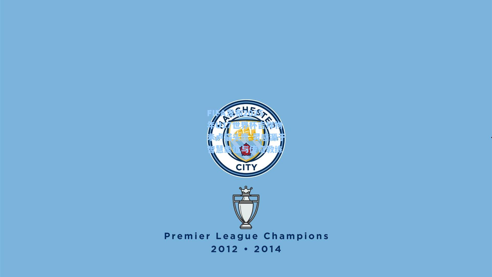 FIFA发布2025年U17世界杯吉祥物米卢猫头鹰 灵感源于智慧象征与传奇教练