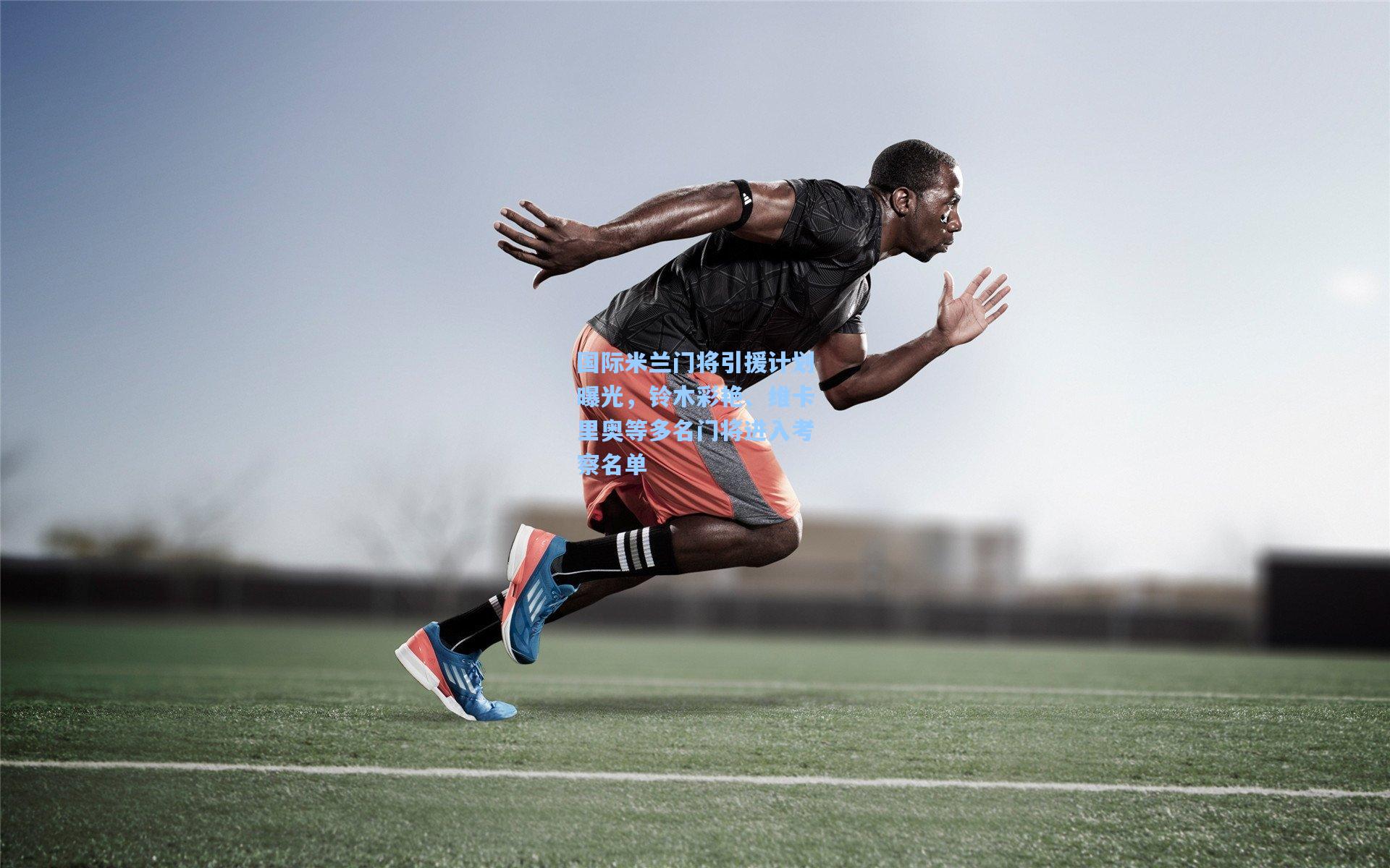 国际米兰门将引援计划曝光，铃木彩艳、维卡里奥等多名门将进入考察名单