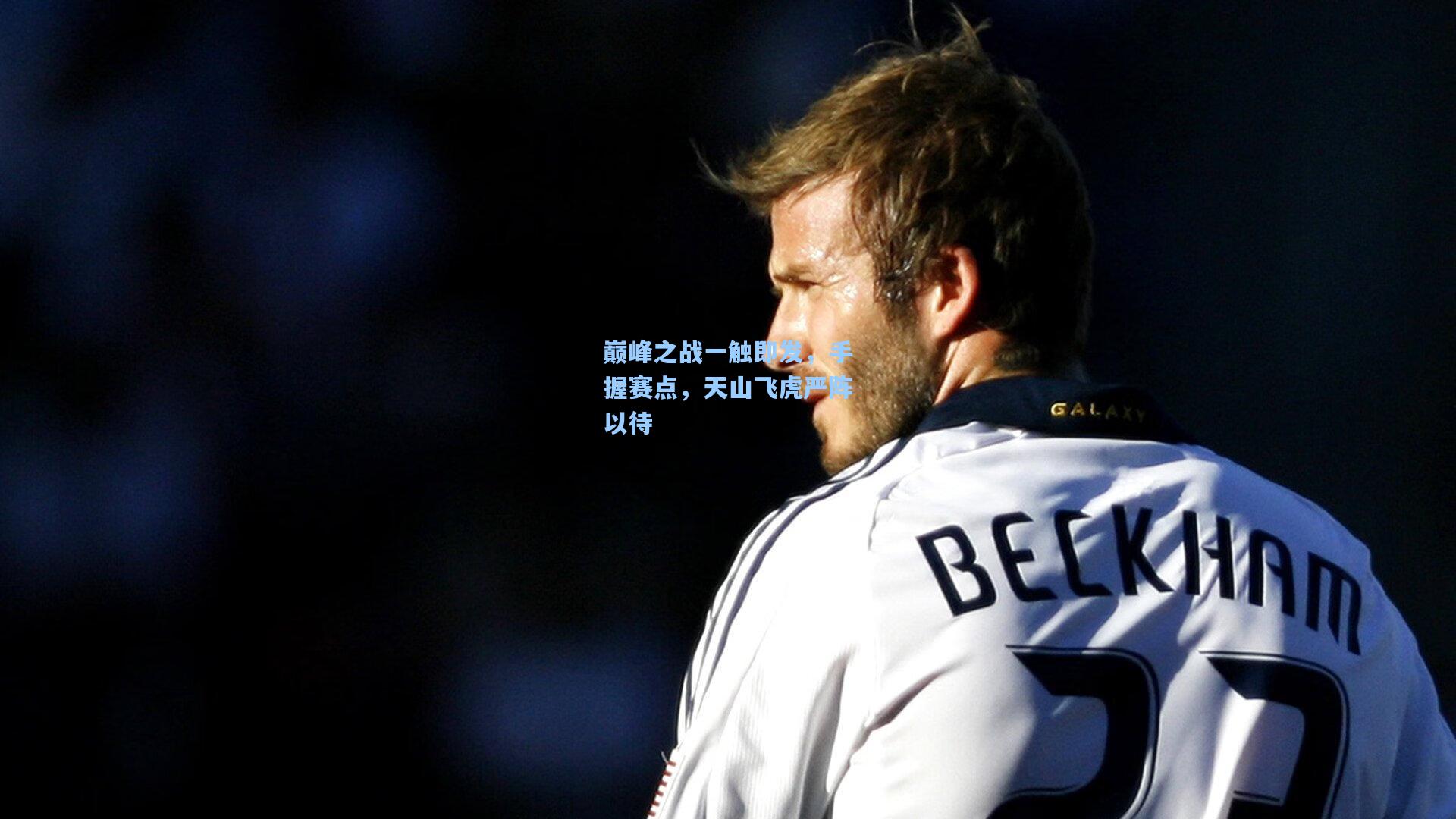 巅峰之战一触即发，手握赛点，天山飞虎严阵以待